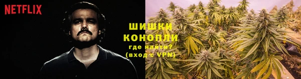 гидра Наволоки