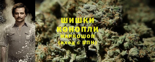 гидра Наволоки