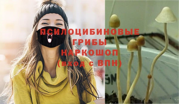 гидра Наволоки