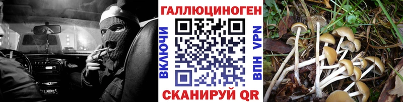KRAKEN как зайти  маркетплейс наркотические препараты  Шелехов  Псилоцибиновые грибы мицелий  цены наркотик 